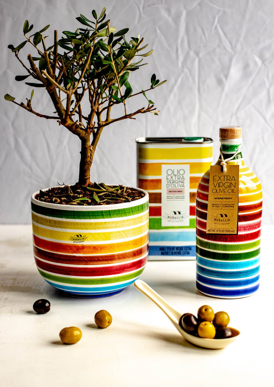 Italian extra virgin olive oil "Muraglia MEDIUM FRUITY" jar 1 L (medium fruity)